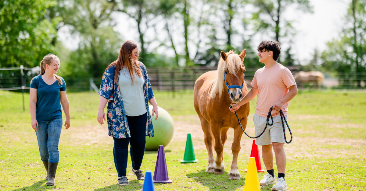 Healing Horses: How Equine Occupational Therapy Benefits Youth