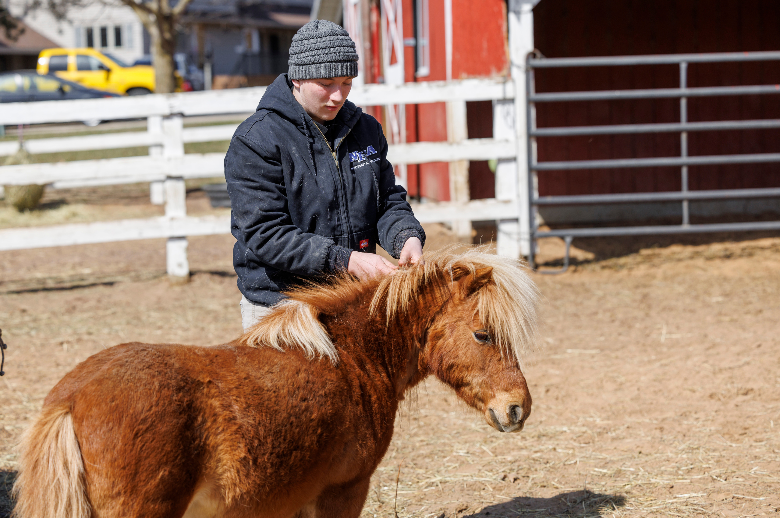 project experience program