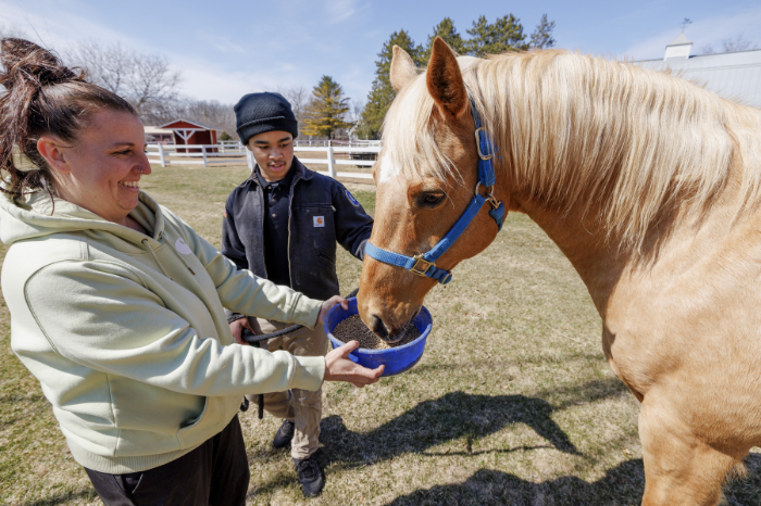 Untitled design (10)